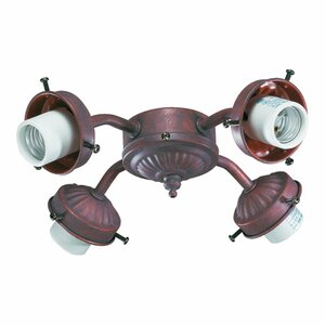 Buy 4-Light Branched Ceiling Fan Light Kit!