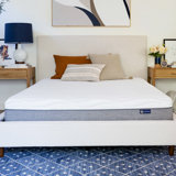 Air Mattress Sofa Sleeper Wayfair