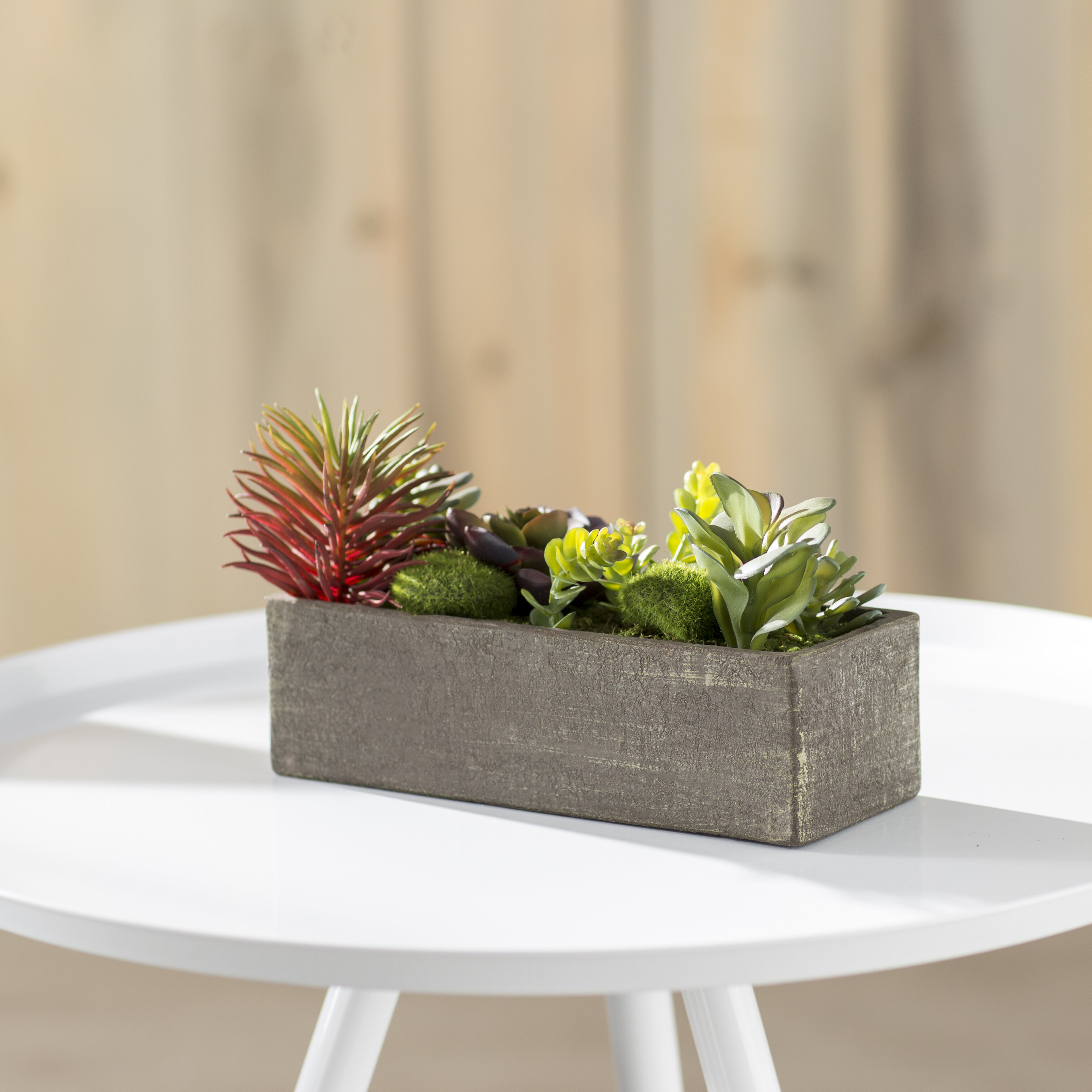 Primrue Wood Artificial Desktop Succulent Plant In Planter Reviews Wayfair