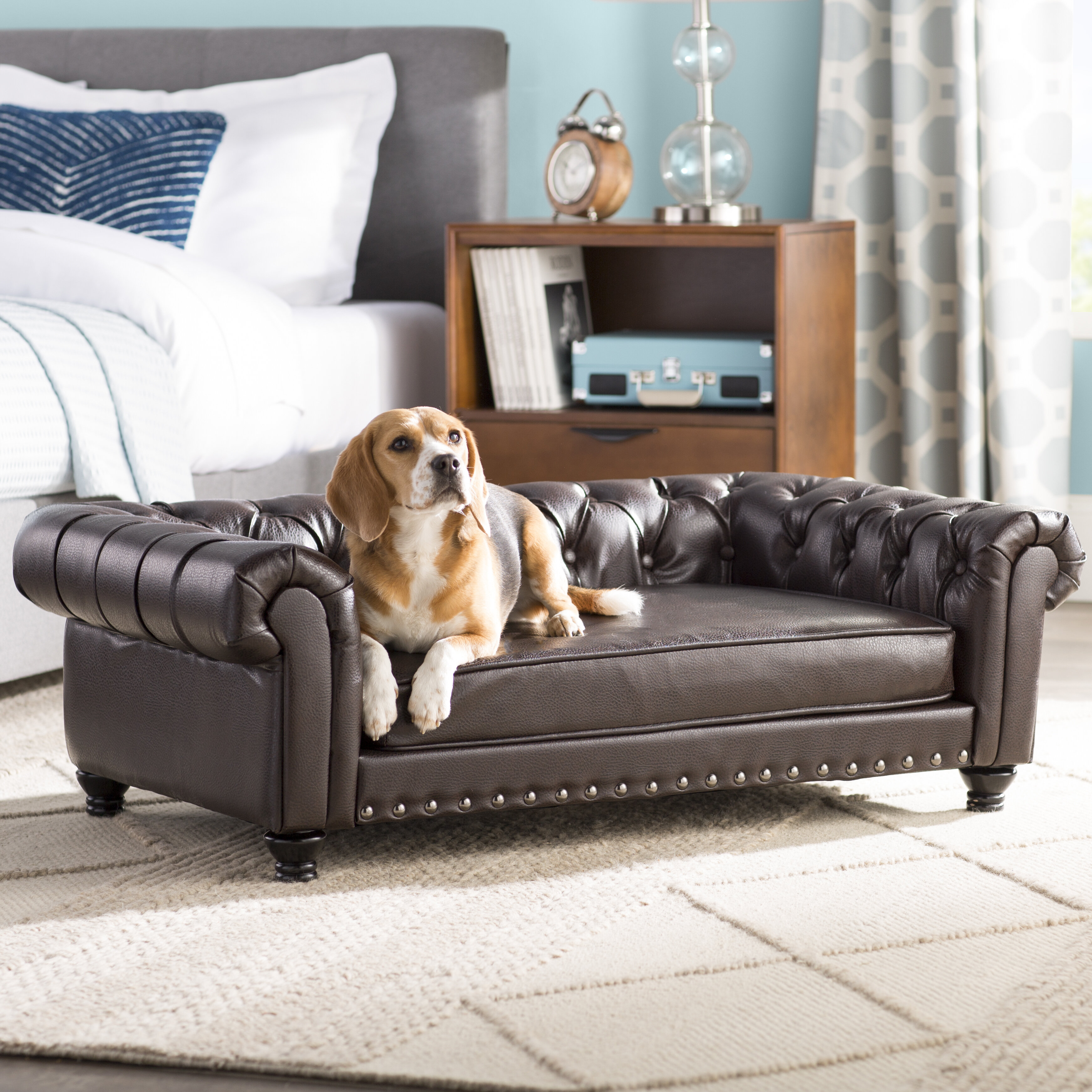 dog sofa beds for large dogs