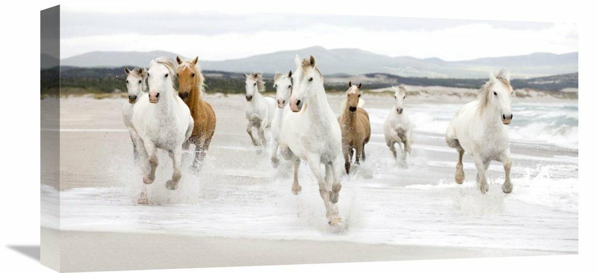 Alcott Hill® Horses On The Beach (Detail) by Zero Creative Studio ...