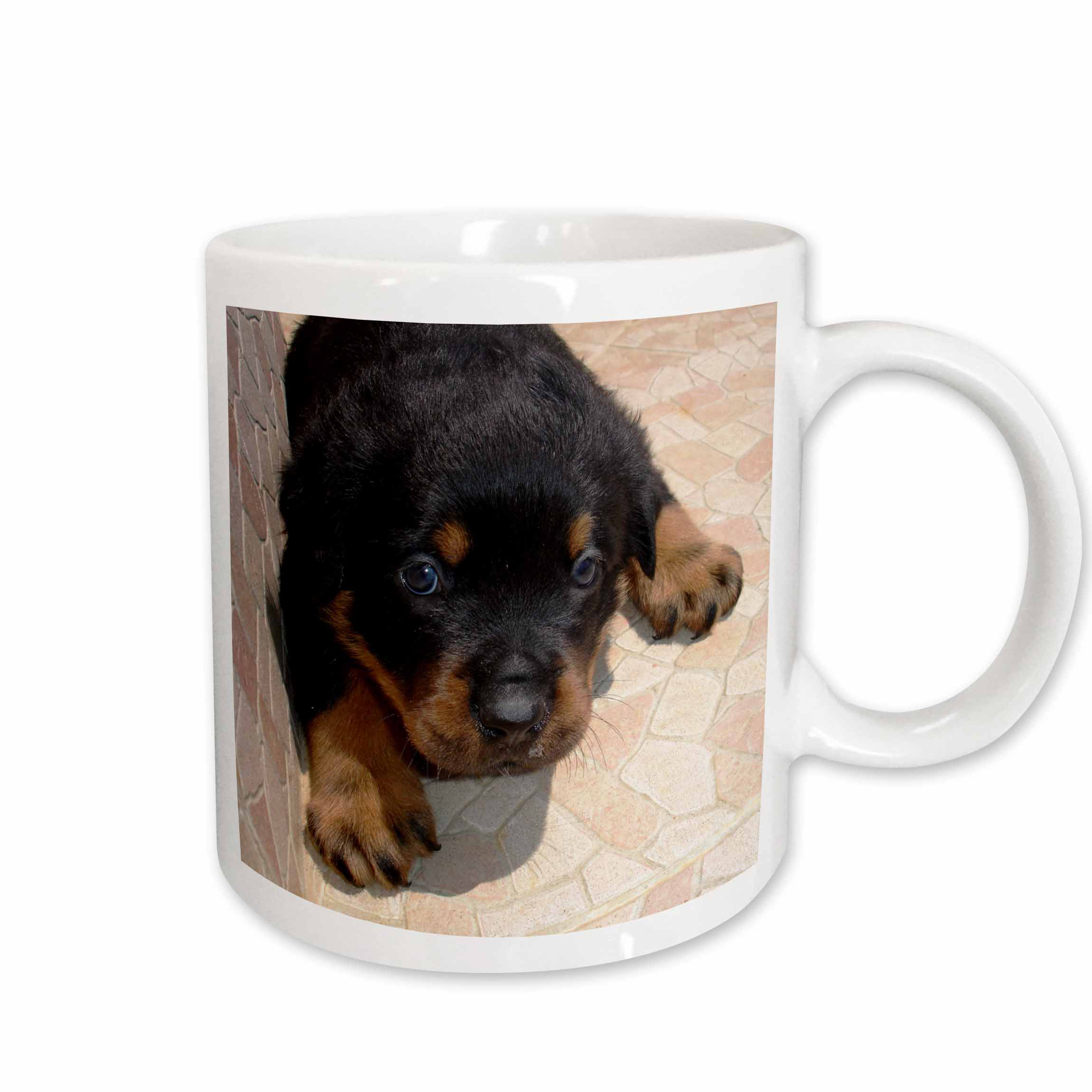 rottweiler mug