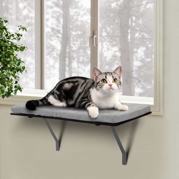 N\Y Cat Window Perch Hammocks Pet Resting Seat Safety Space Saving Window Mounted Cooling Mat Cat Bed,Duty Suction Cups Cat Bed Holds Up to 30lbs 