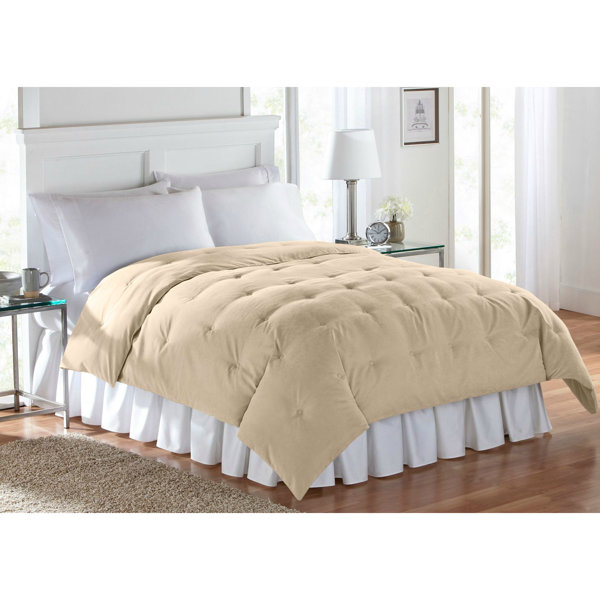 Charlton Home Barron Super Soft Comforter Reviews Wayfair