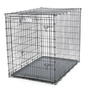 54 inch dog crate