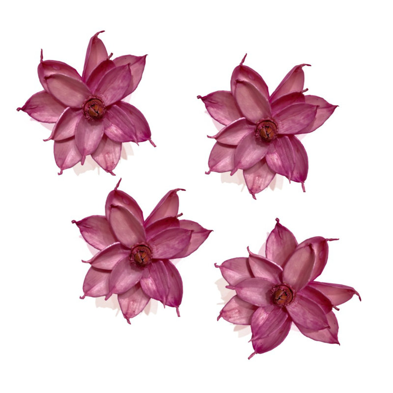 Winston Porter Organically Sustainable Magnolia Flower Magnets Wall Decor Reviews Wayfair