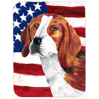Caroline S Treasures Patriotic Usa American Flag With Beagle Gl Patriotic Usa American Flag With Beagle