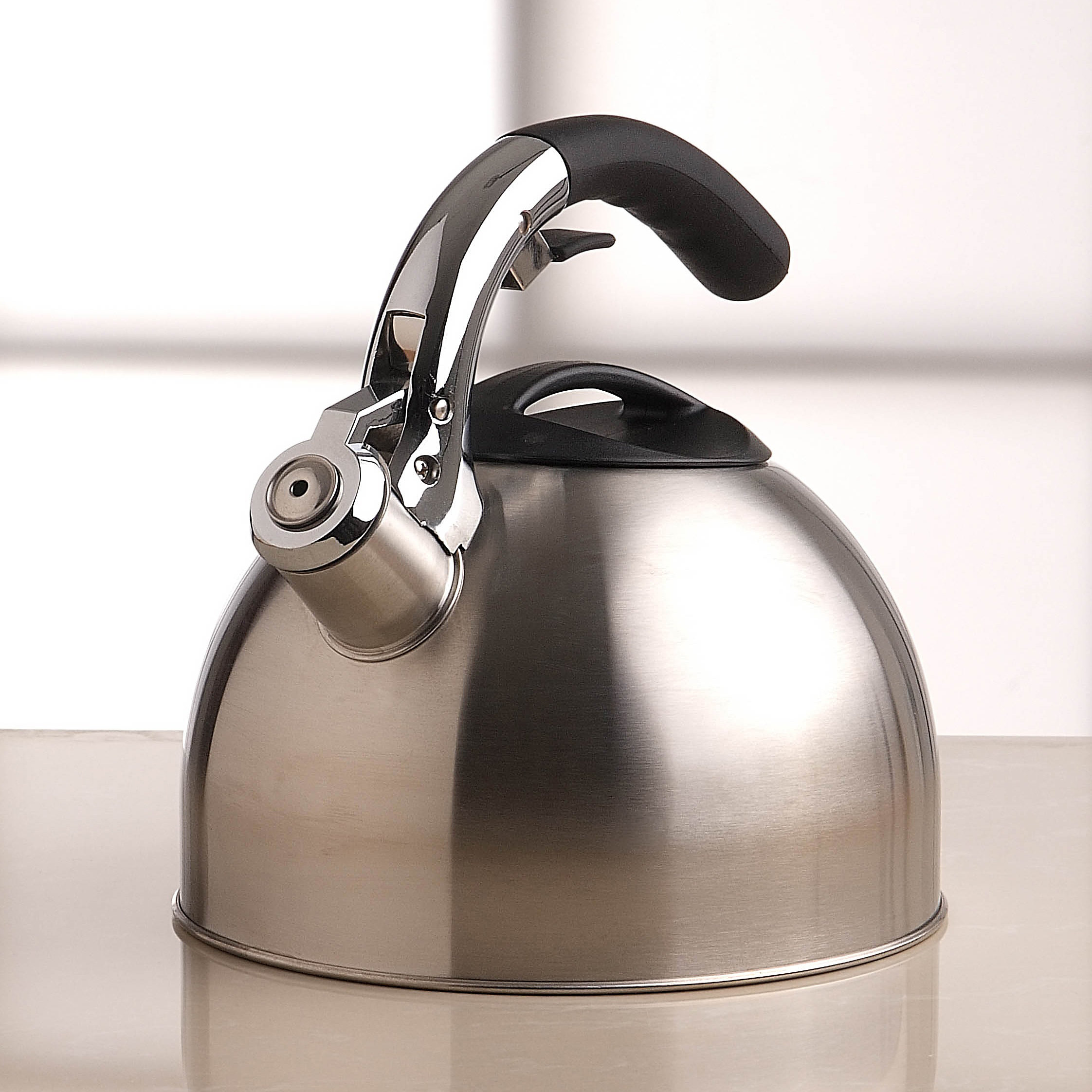 Primula 3 Qt Stainless Steel Stovetop Kettle Reviews Wayfair