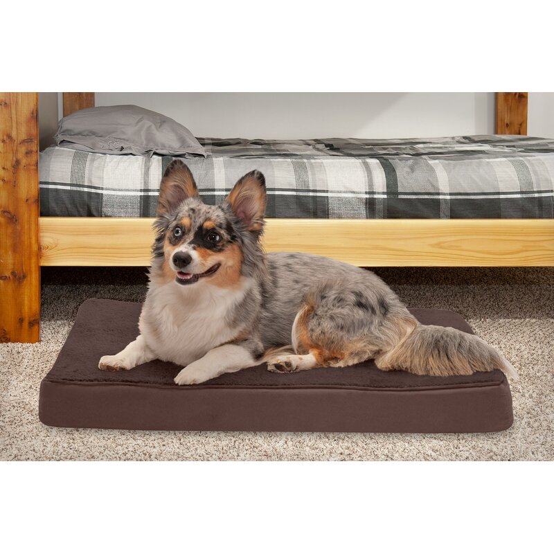 pet gel mat