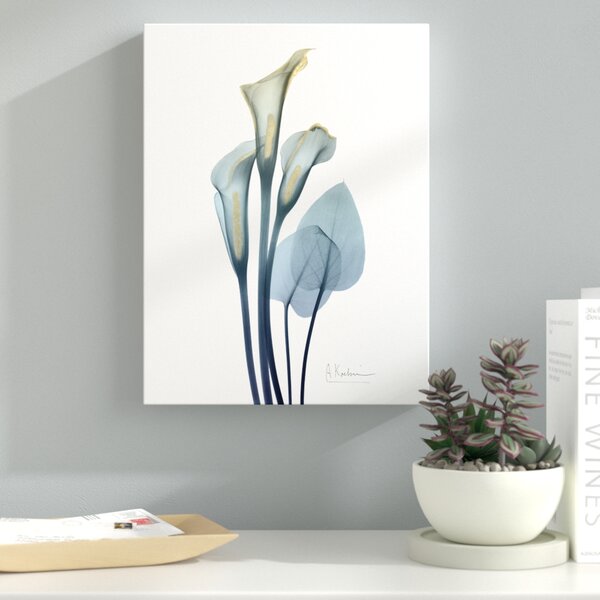 11++ Most Lily wall art images info