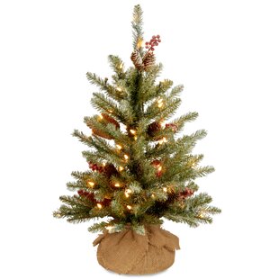 100 Branch Tips & Warm White LED Lights Prelit Tabletop Mini Christmas Tree 