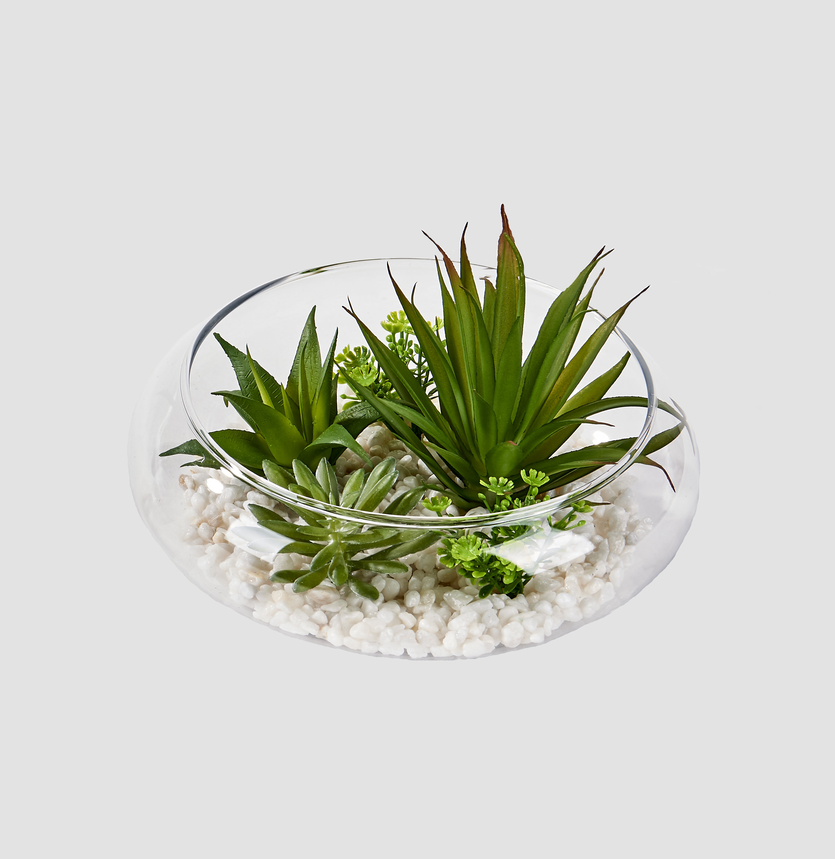 Wrought Studio Faux Succulent Plant in Glass Vase & Reviews Wayfair