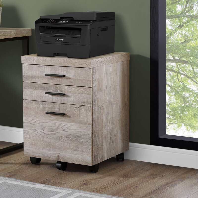 Union Rustic Schroeder 3 Drawer Mobile Vertical Filing Cabinet