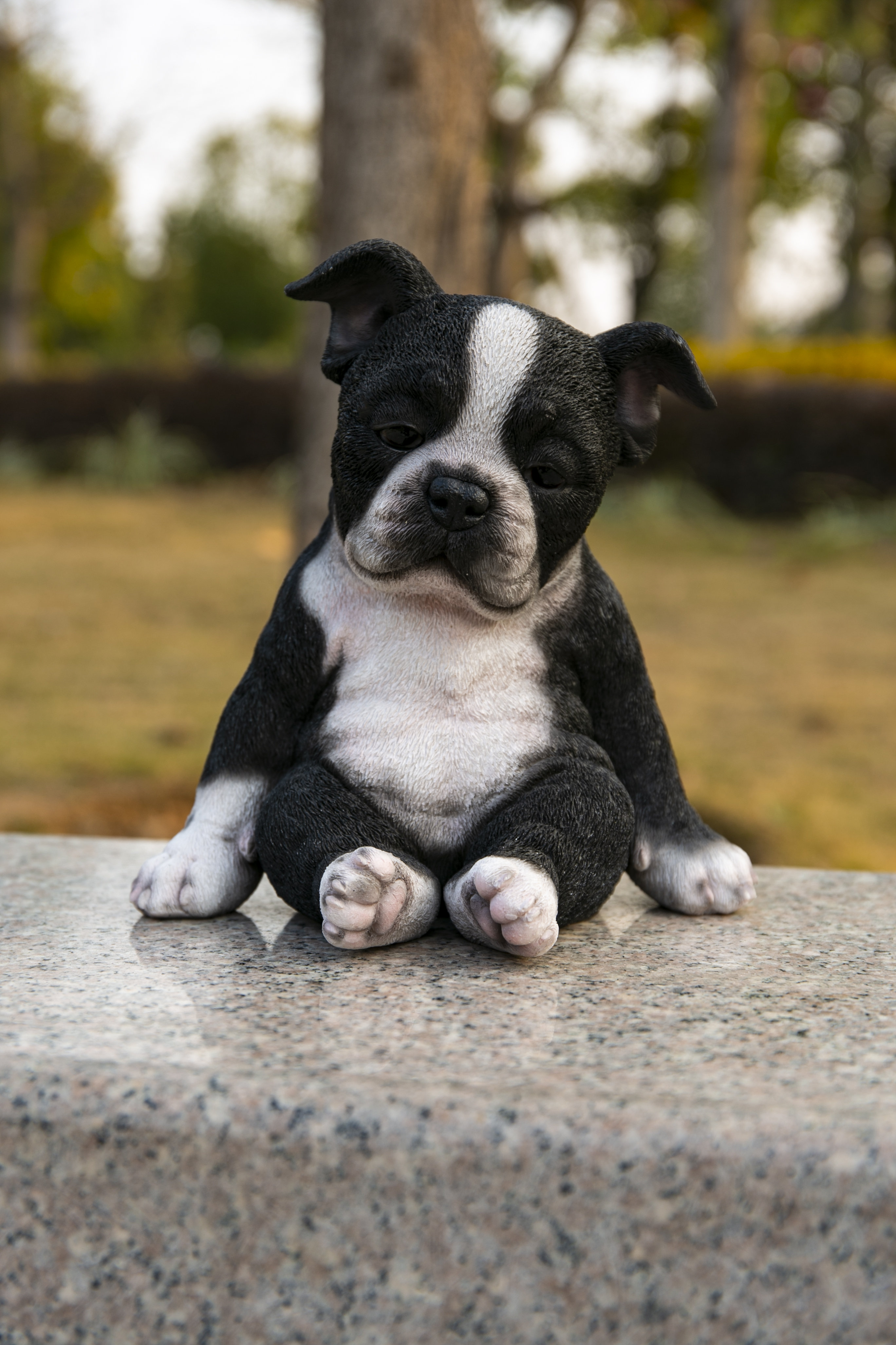 Pet Buddy Online Amazing Boston Terrier Black Sneakers for Kids Pet Buddy Online Amazing Boston Terrier Black Sneakers for Kids