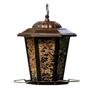 Lantern Bird Feeder Wayfair