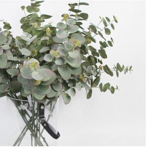 Silk Eucalyptus Stem