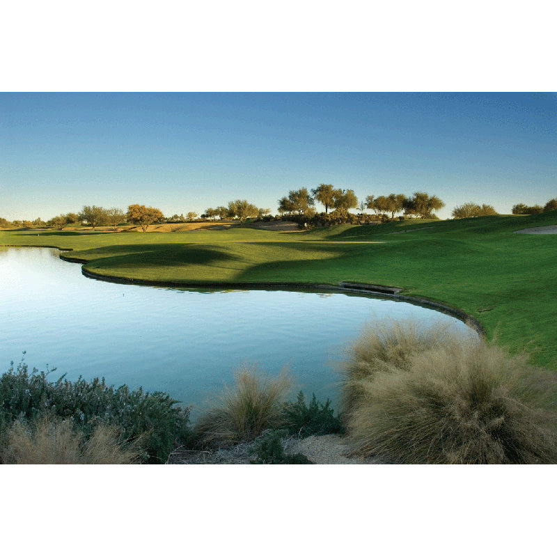 Wallhogs Arizona Golf Course Wall Mural | Wayfair