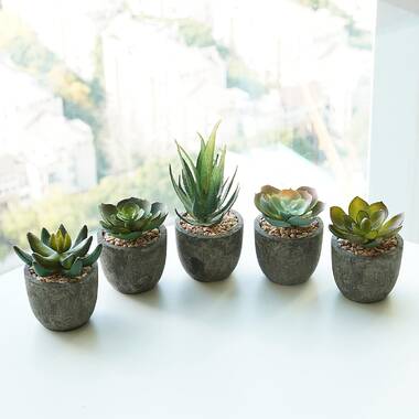 Set of 6 Pcs Mini Plants Artificial Plastic Succulents Flocking Grass 