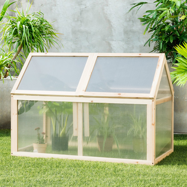 Table Top Greenhouse Wayfair