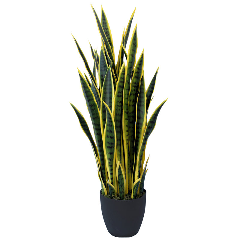 Orren Ellis Sansevieria Artificial Snake Plant Succulent
