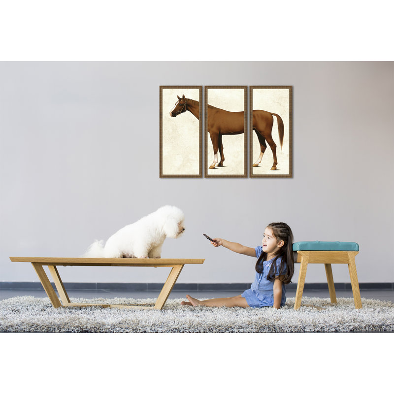 Alcott Hill Horse Triptych By V J Cotlison 3 Piece Picture
