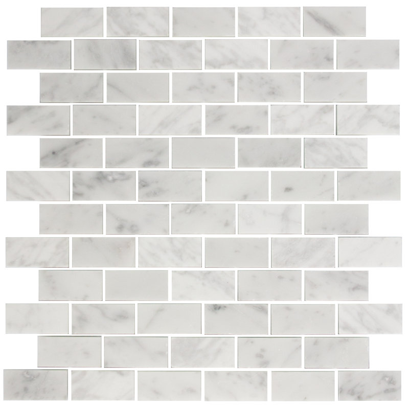 Susanjablon 1 X 2 Carrara Marble Mosaic Tile In White Wayfair Carrara Marble Mosaic Tile In White