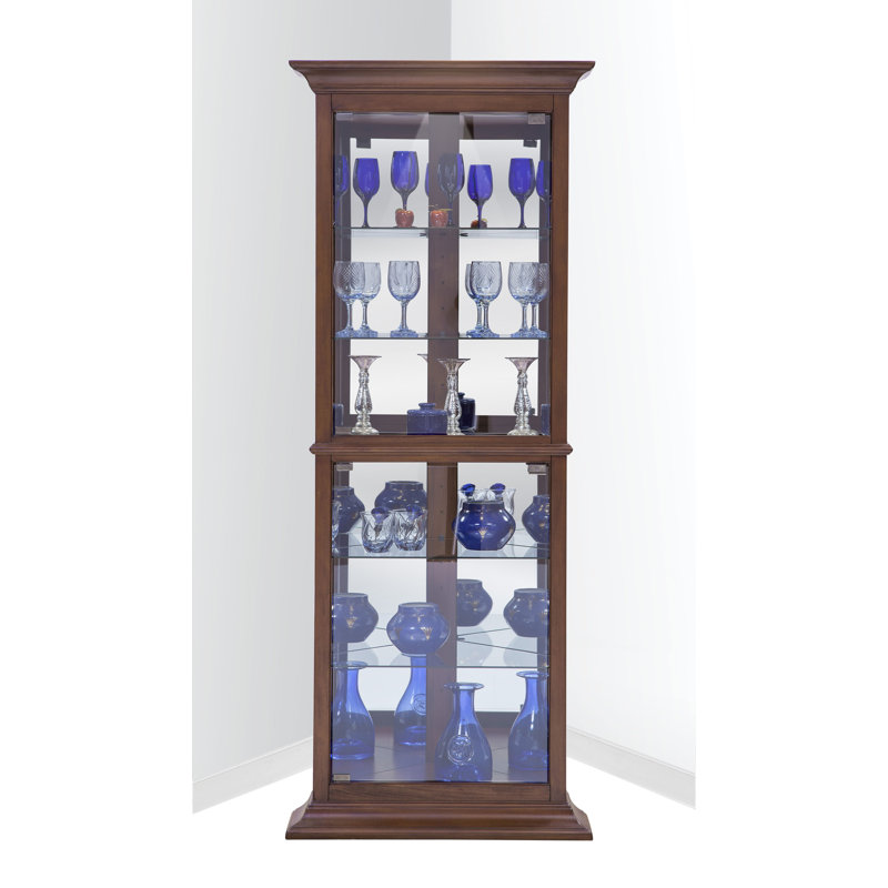 Darby Home Co Gladstone Lighted Corner Curio Cabinet Wayfair