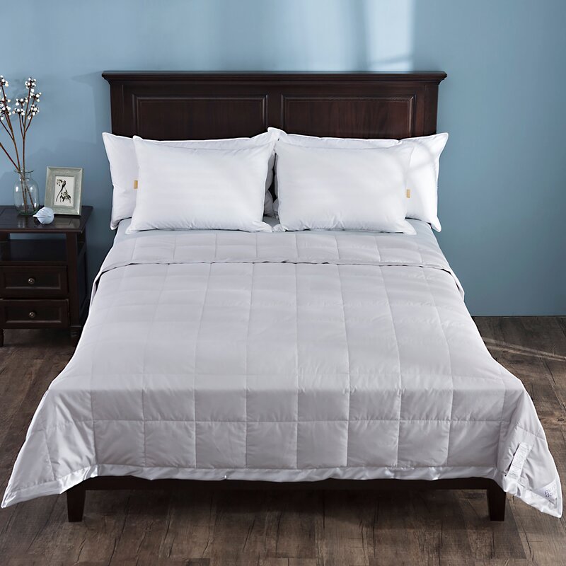 Alwyn Home Light Weight All Season Down Comforter Reviews Wayfair