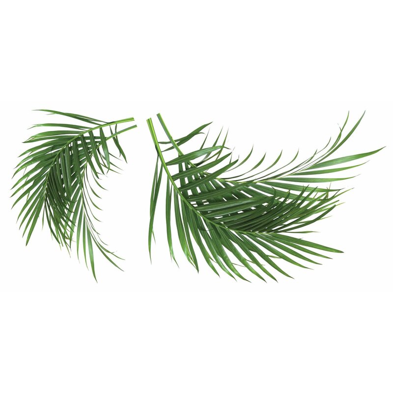 Bay Isle Home Palm Leaf Wall Decal & Reviews | Wayfair