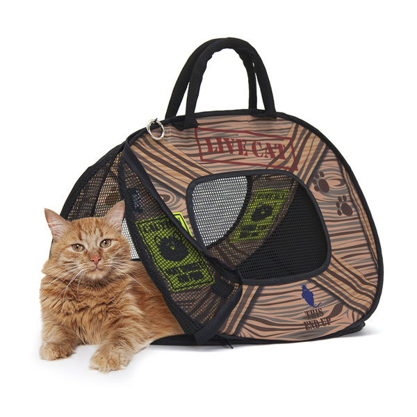 wayfair pet carrier