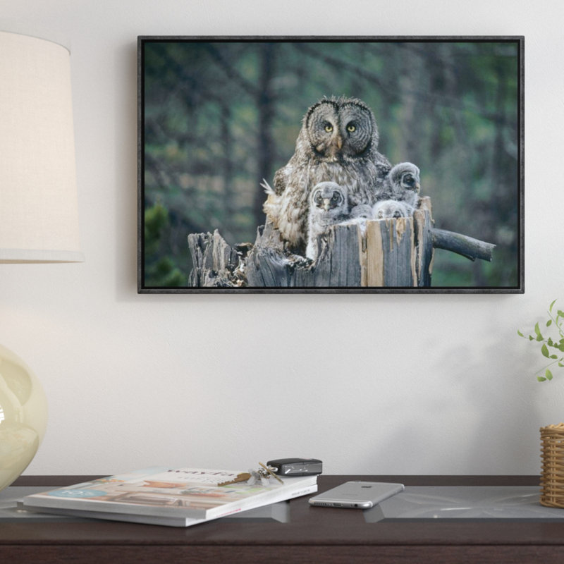 East Urban Home Great Gray Owl With Owlets In Nest Cavity Atop