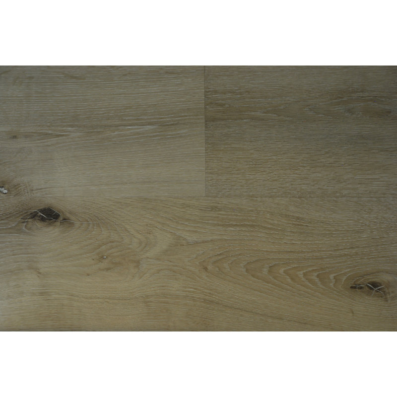 Allamericanhardwood Oasis 7 X 48 12mm European Oak Laminate X 48 12mm European Oak Laminate
