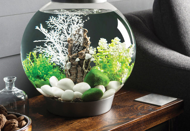 Best-Selling Freshwater Aquariums