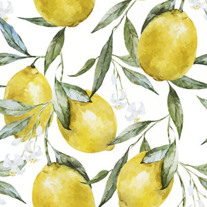 Life of Lemons Removable 5' x 20