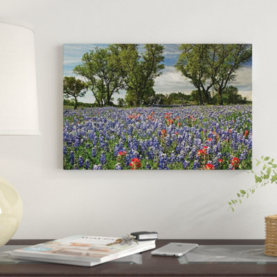 All These Goods In One Place!