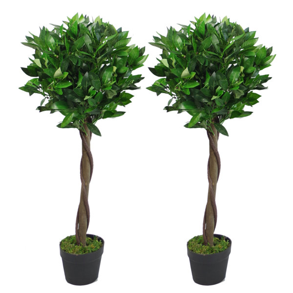 Artificial Bay Tree Wayfair Co Uk