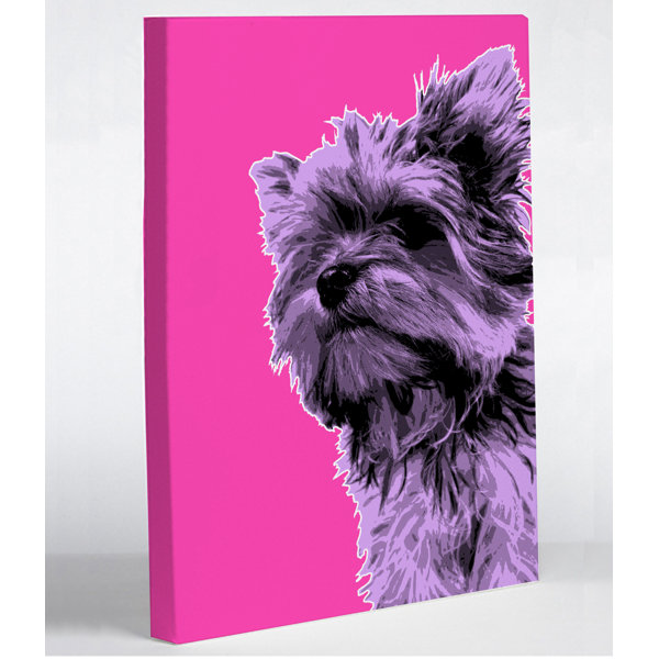 whisker city hammock and scratcher