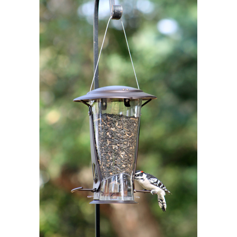 Classic Brands Llc Squirrel Proof Seed Tube Bird Feeder Wayfair
