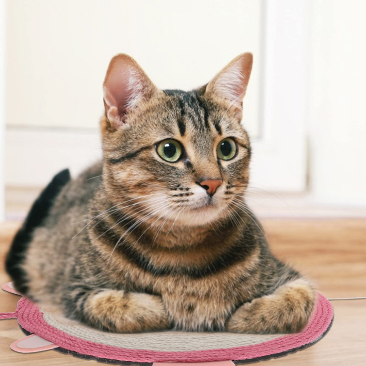 cat claws scratching pad
