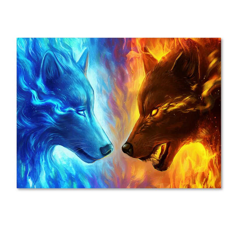 Trademark Art 'Fire and Ice' Graphic Art Print on Wrapped Canvas | Wayfair