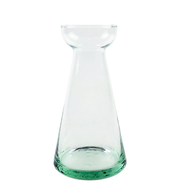Bulb Forcing Vase Wayfair