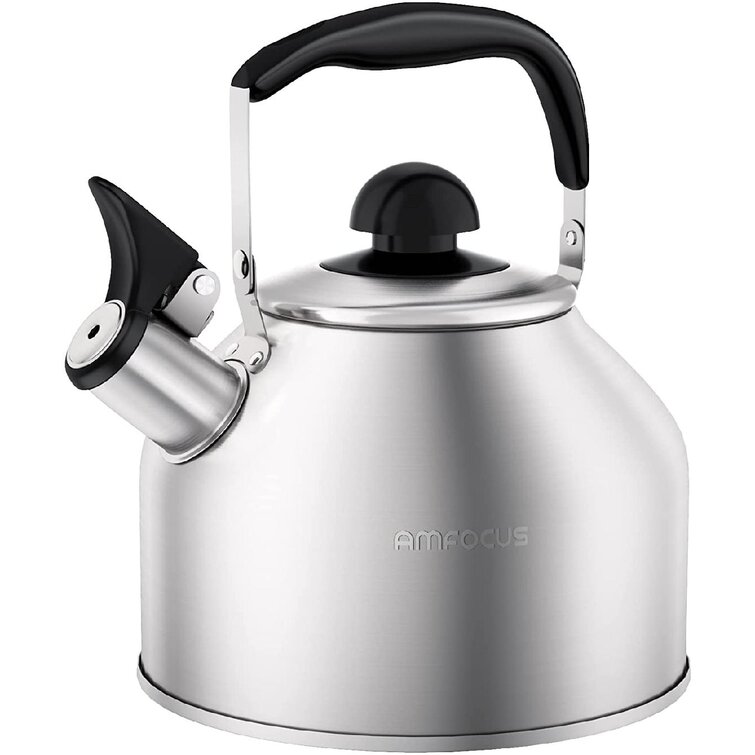 Stainless Steel Whistling Kettle Teakettle Fast Boil Teapot with Infuser 