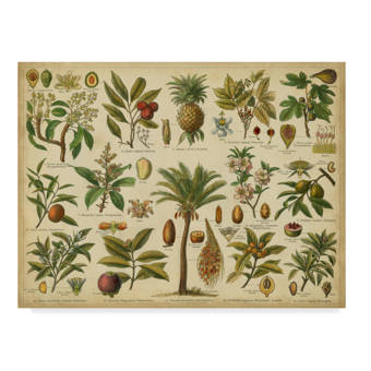 East Urban Home Classification Tropical Plants Acrylic Painting