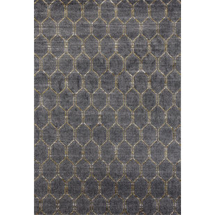 Dossantos Geometric Gray Stain Resistant Indoor Outdoor Area Rug Dossantos Geometric Gray Stain Resistant Indoor Outdoor Area Rug