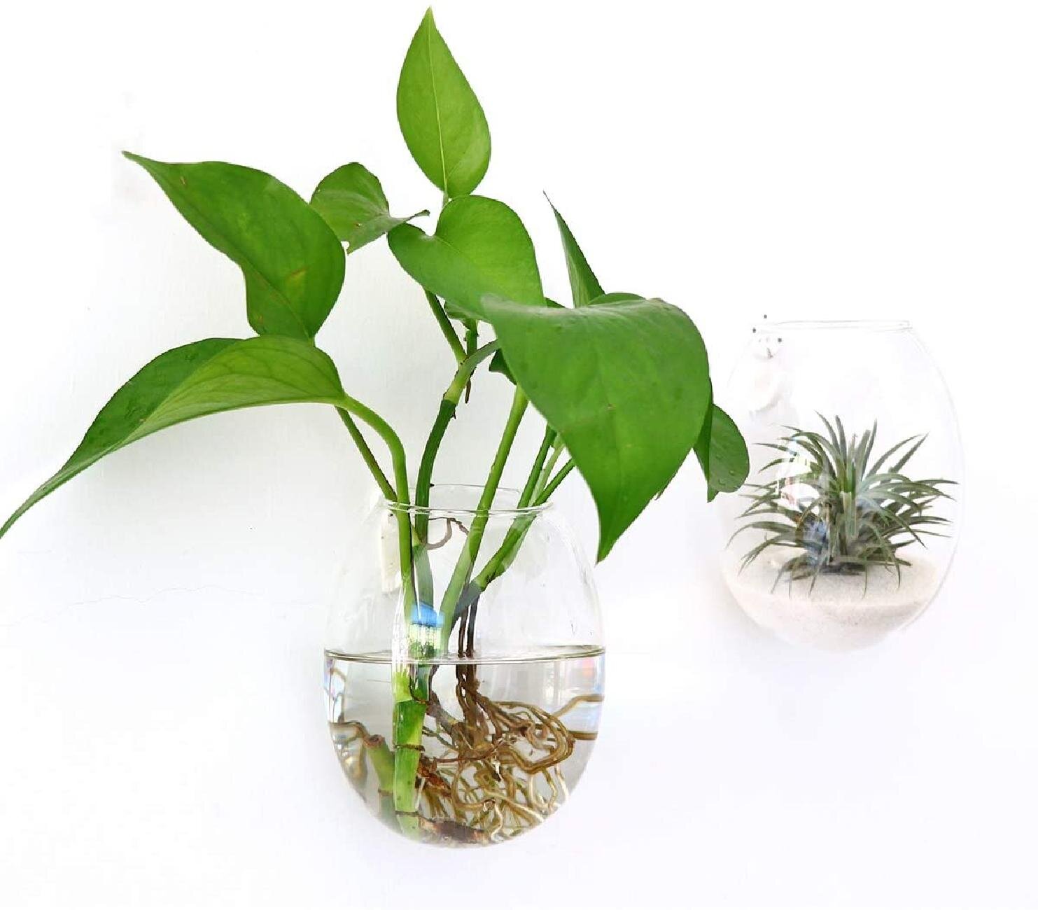 Clear Glass Tube Flower Pot Hydroponic Plant Vase Terrarium Container Home Decor 