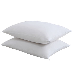 Anti-Microbial Pillow Protector (Set of 2) by Fresh Ideas