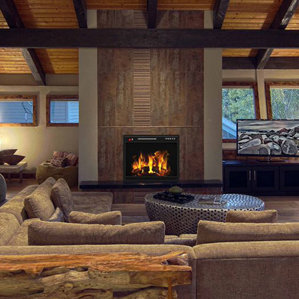 Gibbs Flat Electric Fireplace Insert by Ebern Designs