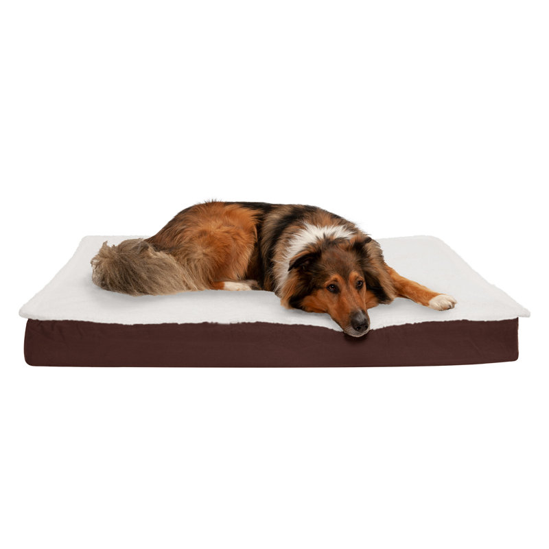 Archie Oscar Etta Deluxe Outdoor Memory Foam Dog Bed Pillow