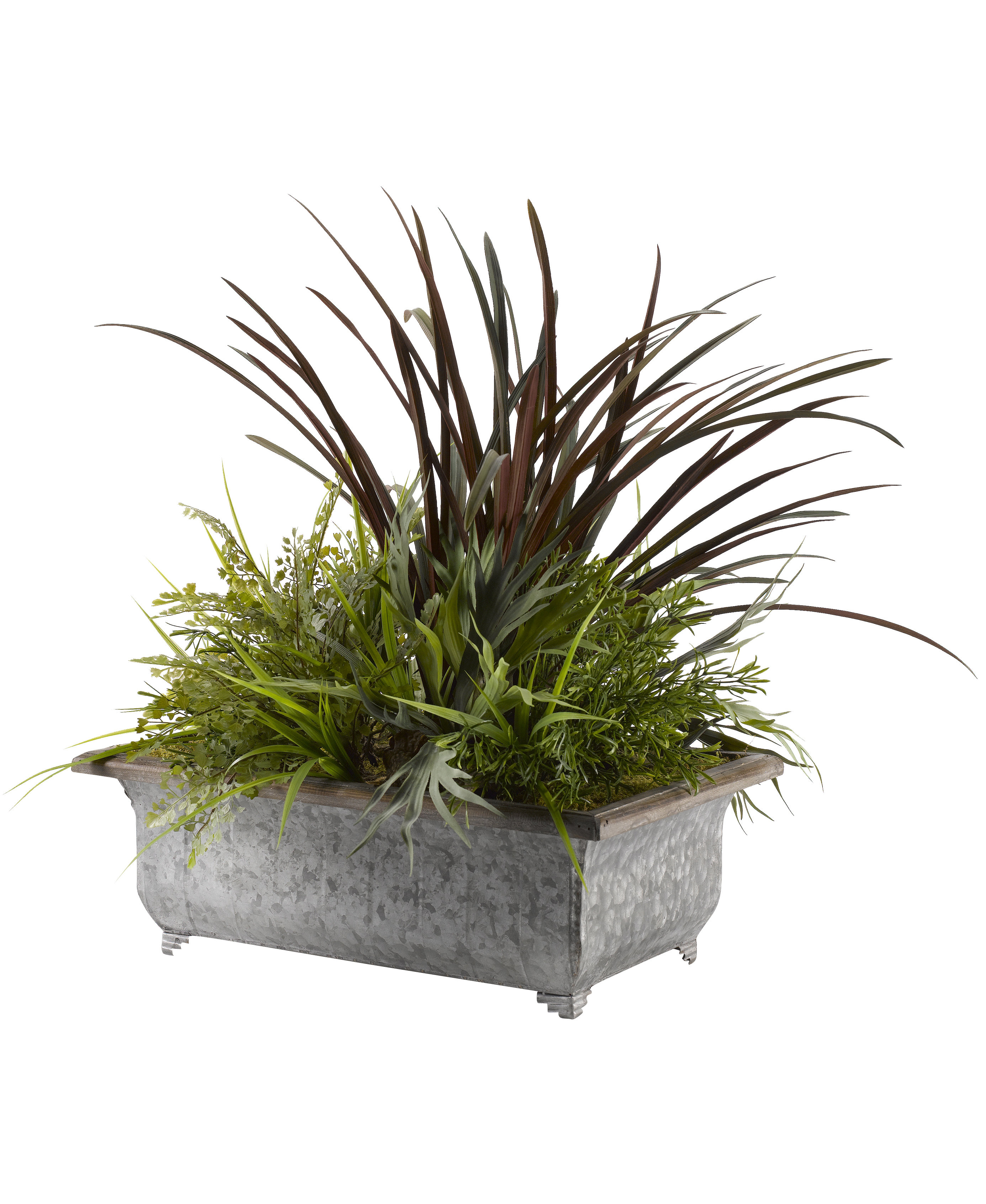 wayfair balcony planters on Gracie Oaks Fern Plant In Planter Wayfair