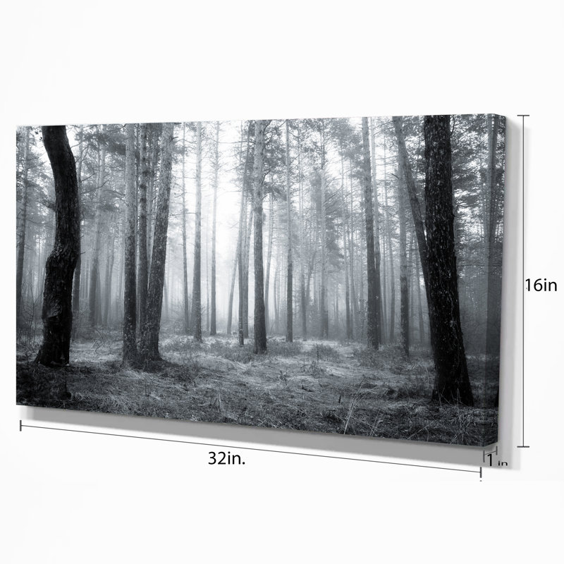 Designart Black And White Foggy Forest Photographic Print On